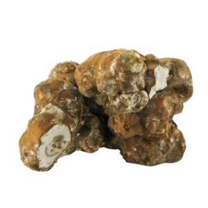 magic truffles for sale Oregon